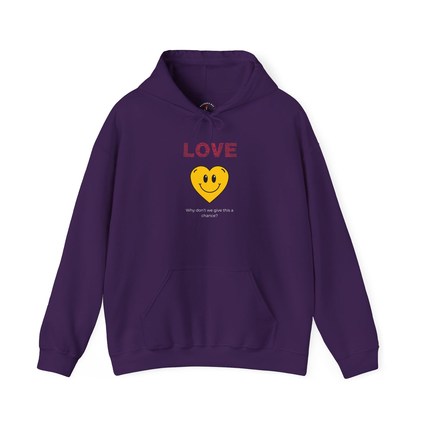 LOVE Why Don't We Give This A Chance Hooded Sweatshirt